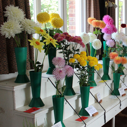 Autumn Show 2023 - Dahlias and Chrysanthemums