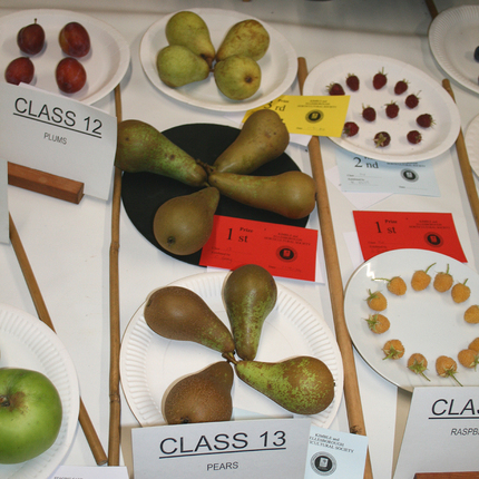 Autumn Show 2024 - Class 13 - Pears