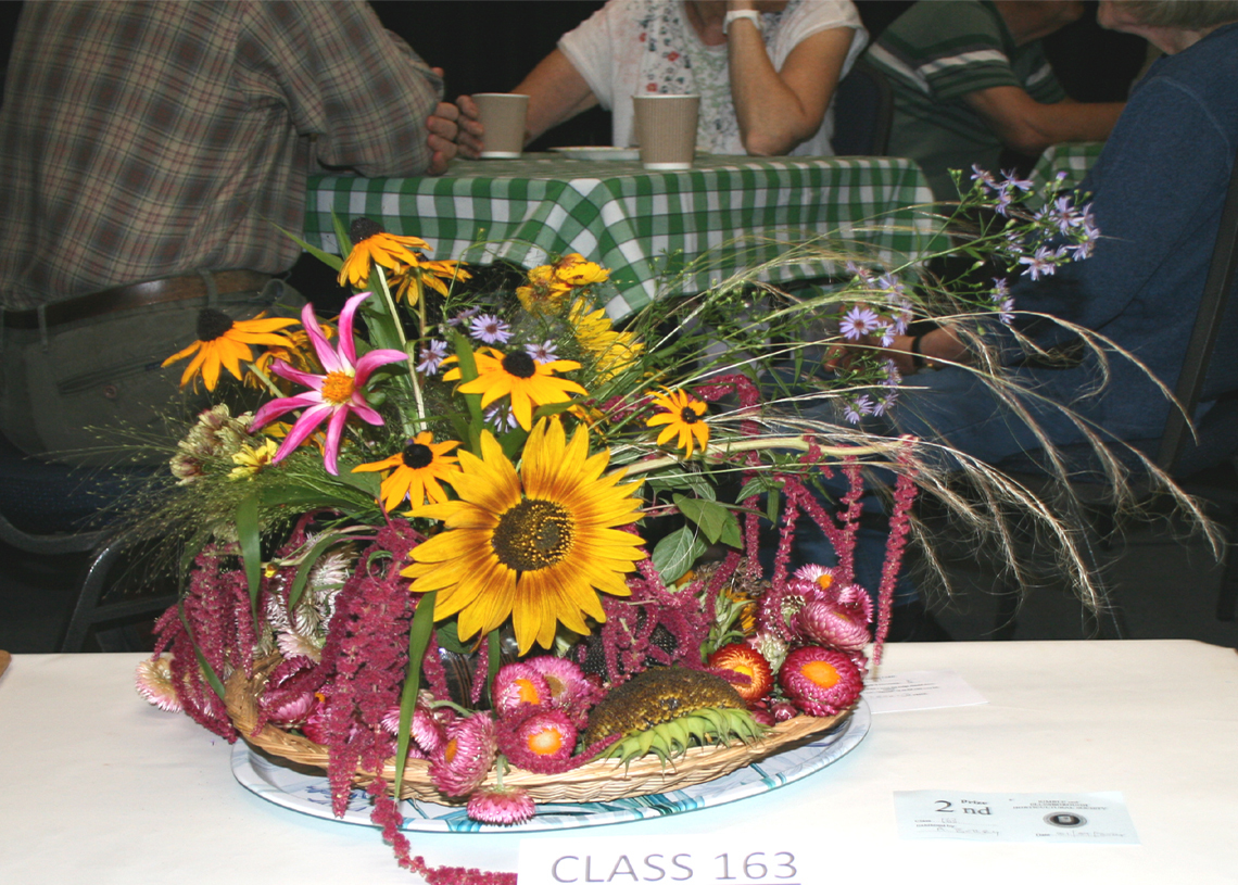 Autumn Show 2024 - Class 163 - Floral Art 1140x815