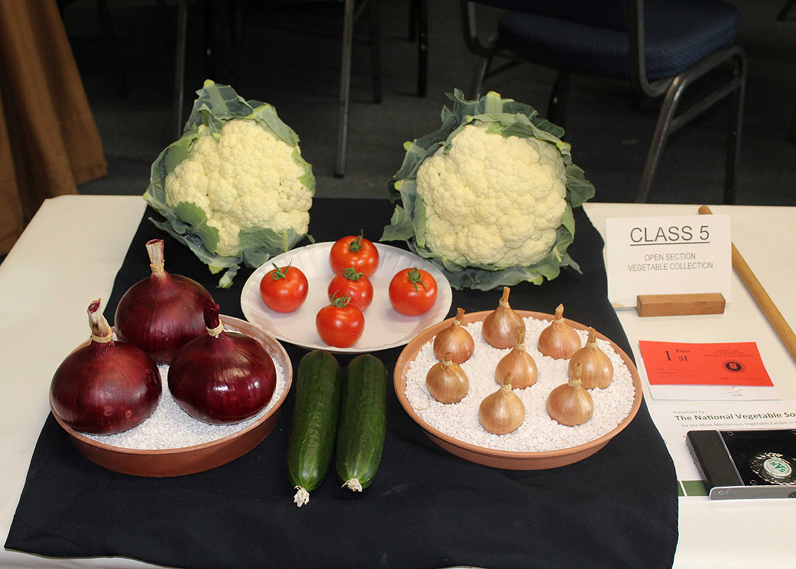 Autumn Show 2024 Class 5  - Championship Section Vegetable Collection