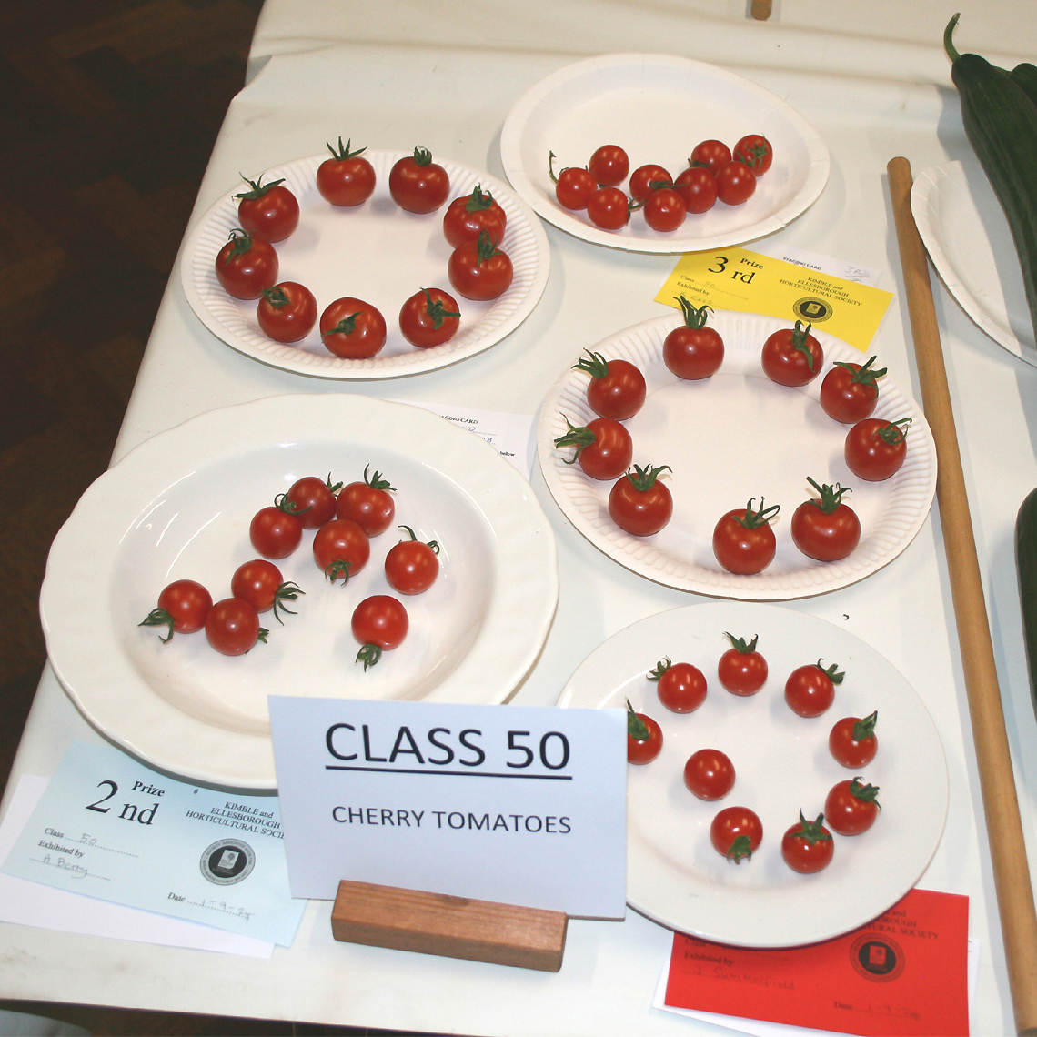 Autumn Show 2024 - Class 50 Cherry Tomatoes