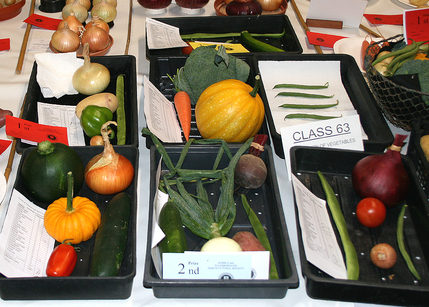 Autumn Show 2024 - Class 63 Collection of Vegetables 1140x815