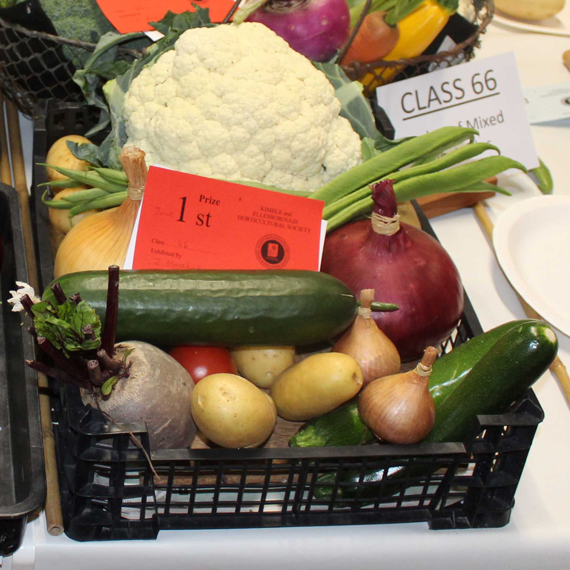 Autumn Show 2024 - Class 66 Basket of Mixed Vegetables 1140