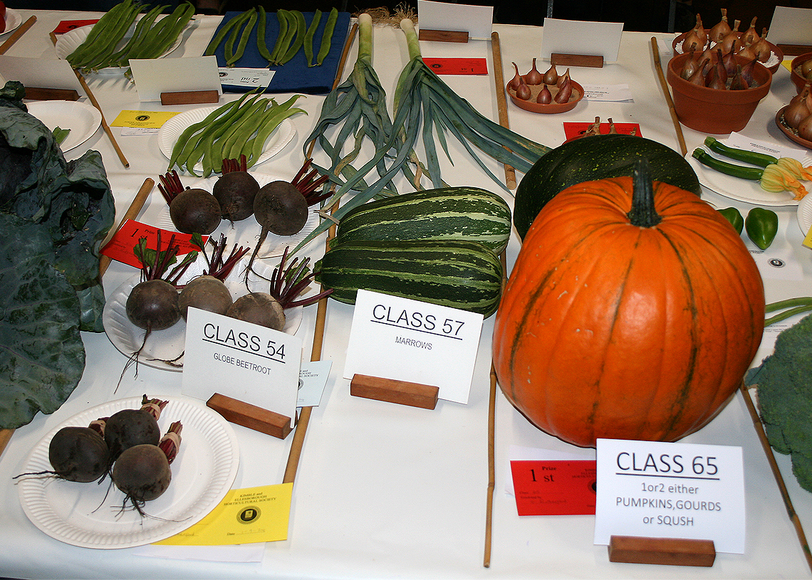 Autumn Show 2024 - Classes 54, 57 and 65 1140x815