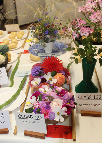 Autumn Show 2024 - Class 130 - Bowl of Flowers 815x1140