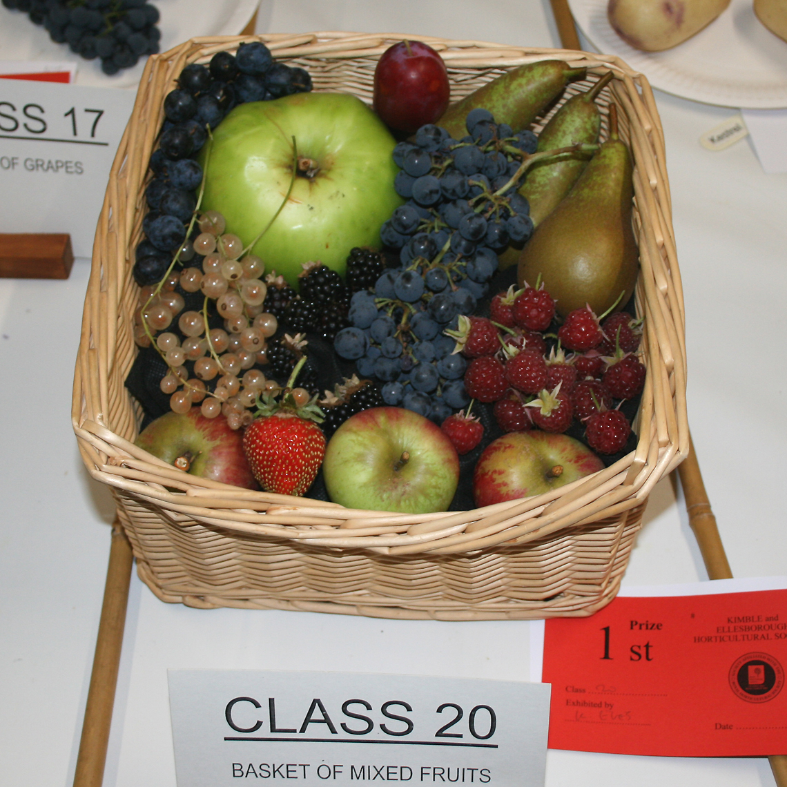 Class 20 Basket of Mixed Fruits