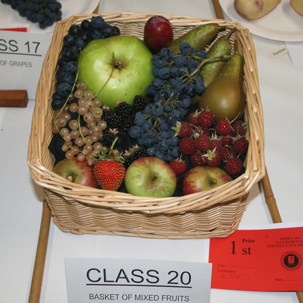 Class 20 Basket of Mixed Fruits