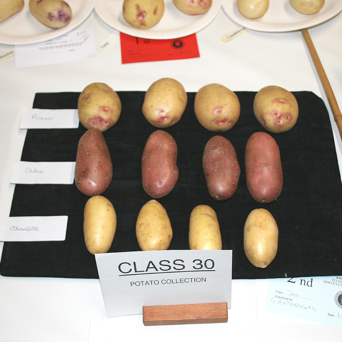 Autumn Show 2024 - Class 30 Potato Collection 1140