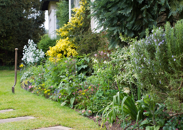 Meadow Cottage