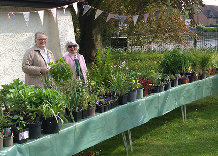 News - Plant Sale 2024