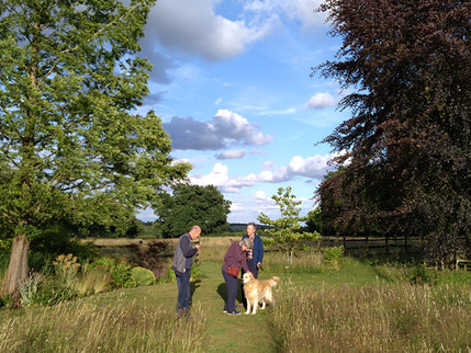 Robin Hill - View over Meadows towards Radnage