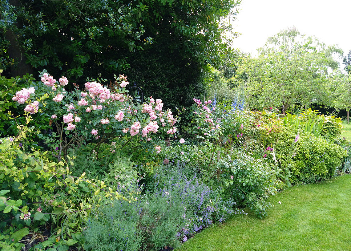 Springfield Farm - herbaceous border