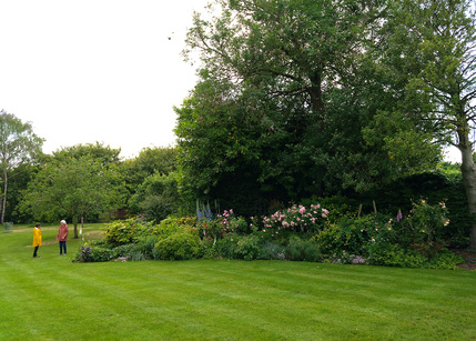 Springfield Farm - Herbaceous Border