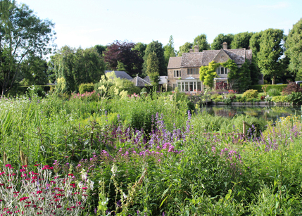 View across Prairie Planting and Lake