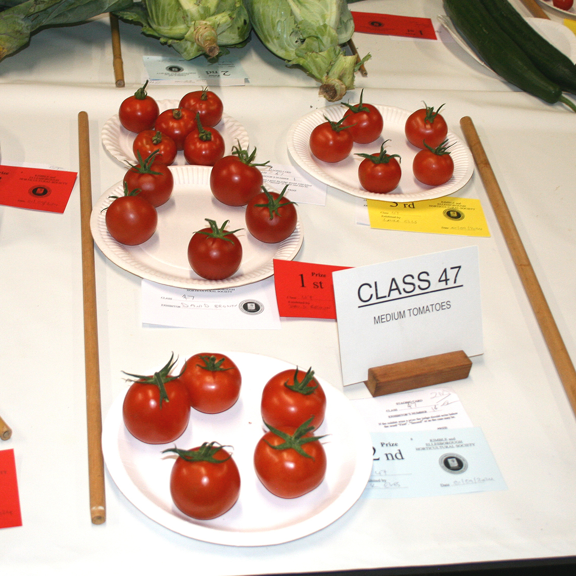 Autumn Show 2024 -Class 47 - Medium Tomatoes