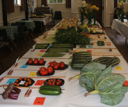 Vegetables Exhibits