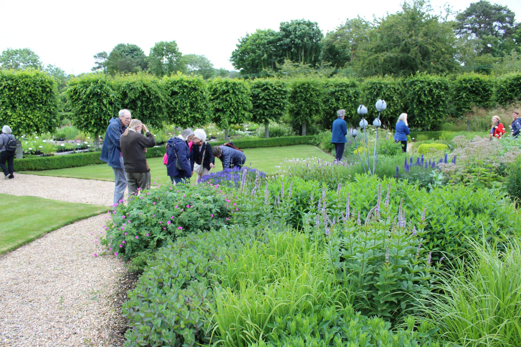 The Plant Specialist - Display Area