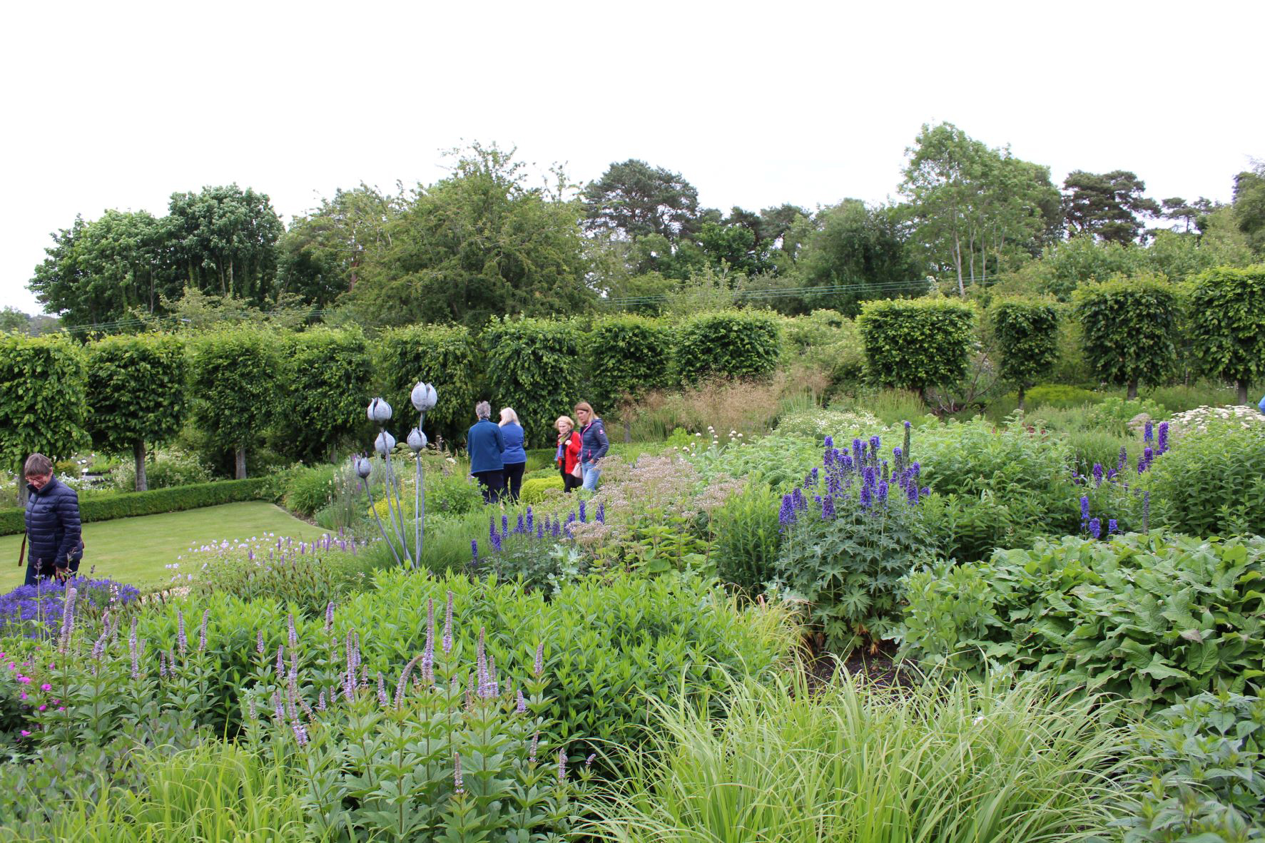 The Plant Specialist - Display Area