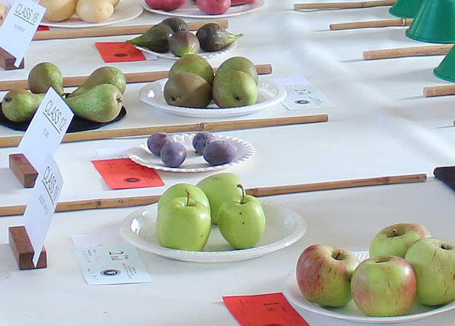 Autumn Show 2023 Fruit