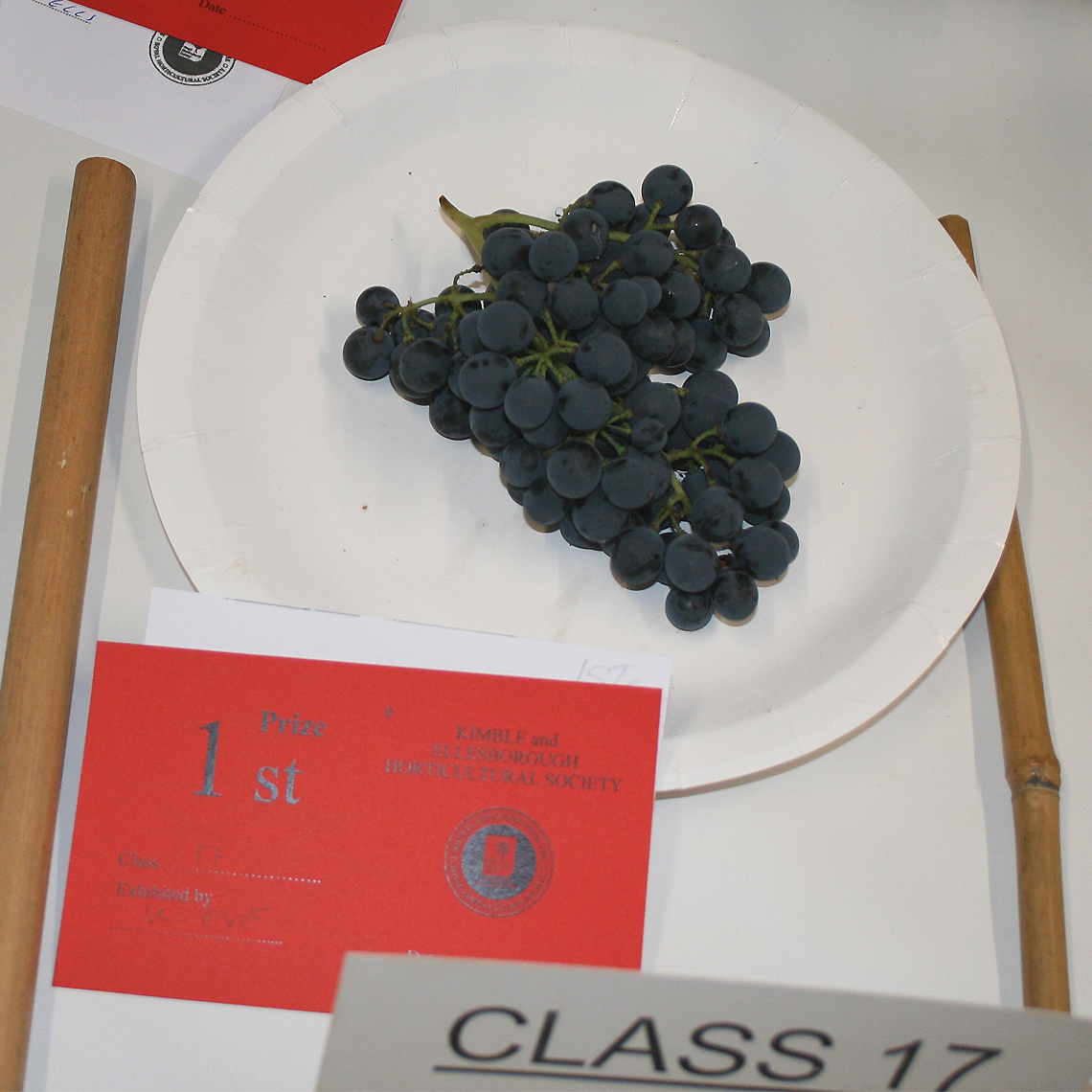 Buch of Grapes - Class 17