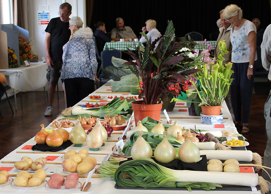 Horticultural Shows