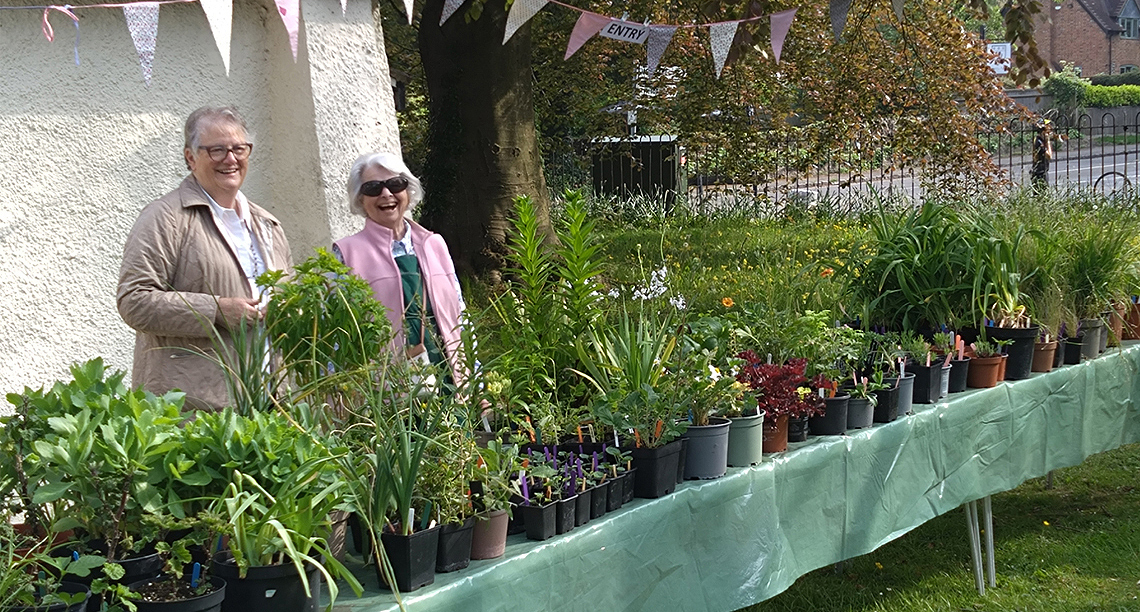 Plant Sale 2024 - Perennials