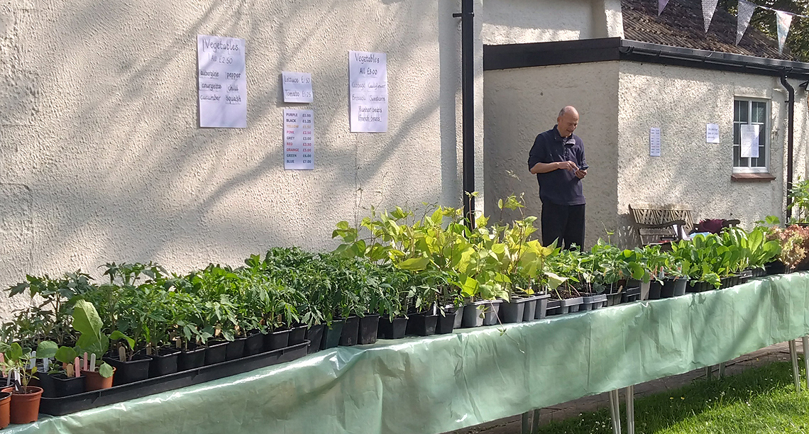 Plant Sale 2024 - Vegetables