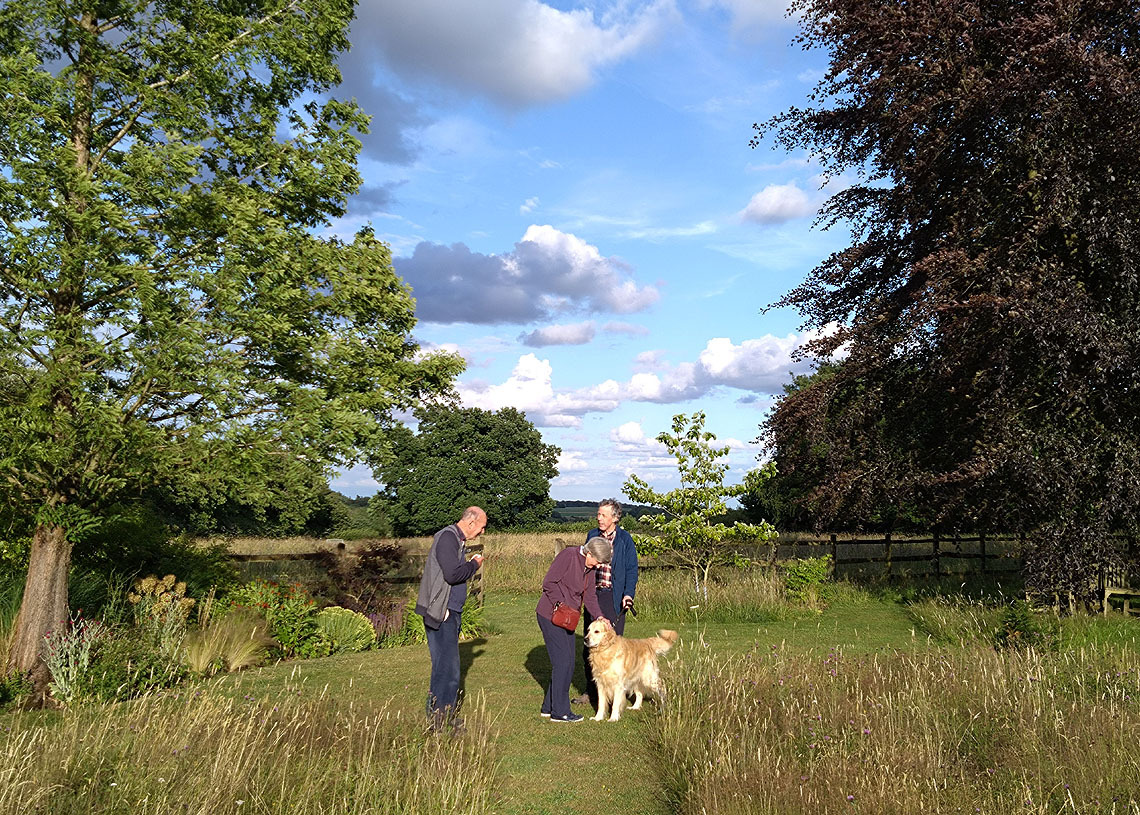 Robin Hill - View over Meadows towards Radnage