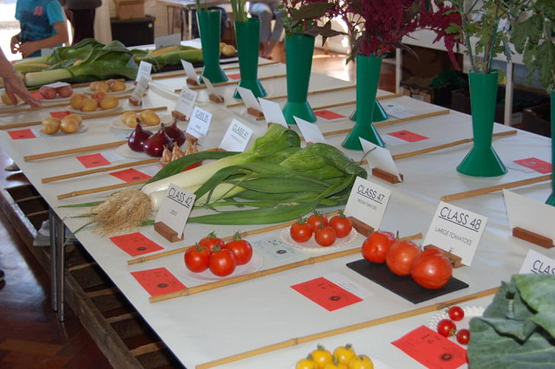 Vegetable Classes