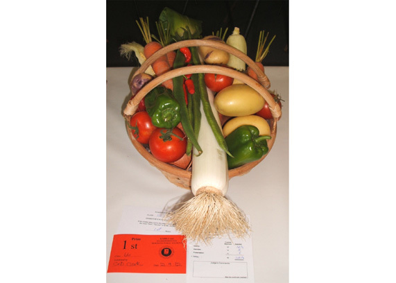 Mixed Basket of Vegetables